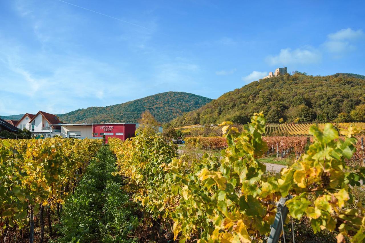 Weingut & Ferienwohnungen Mueller-Kern Neustadt an der Weinstrasse Bagian luar foto